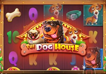 Автомат The Dog House в GMS Deluxe Casino